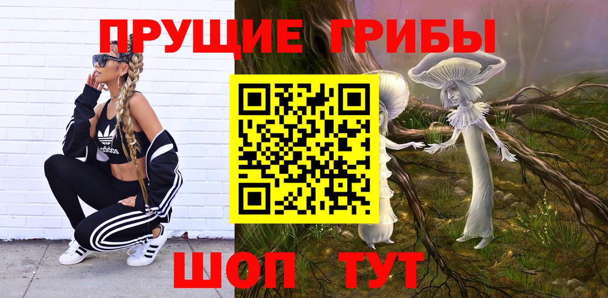 Псилоцибиновые грибы Psilocybe Спасск-Дальний